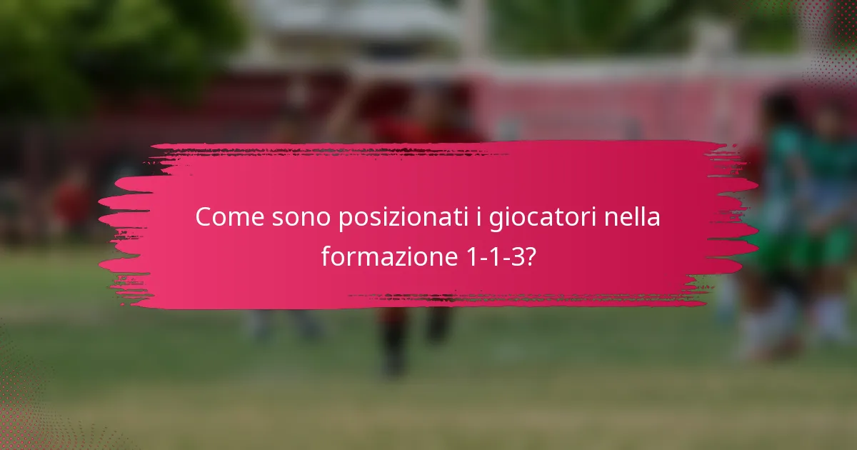 Come sono posizionati i giocatori nella formazione 1-1-3?