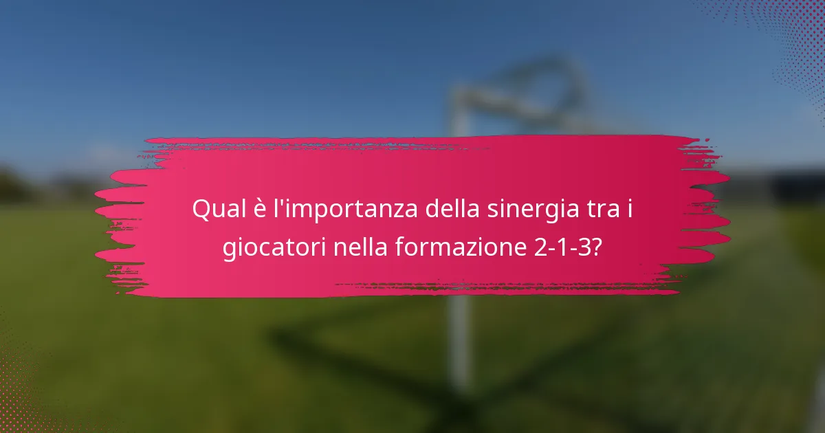 Qual è l'importanza della sinergia tra i giocatori nella formazione 2-1-3?
